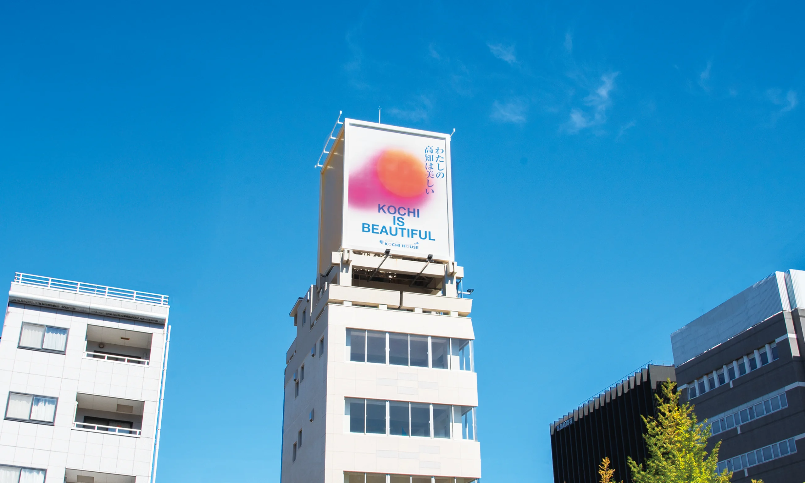 高知ハウス看板アップ